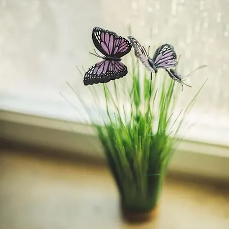 Wunderschoene Neue 3,5 Zimmerwohnung Naehe Kassel Bis 4 Erwachsene 3 아파트 Fuldatal